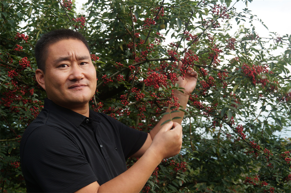 888集团2022大事记